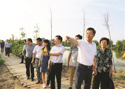 地点:高邮市界首镇   三,主办单位   界首镇人民政府   高邮市旅游